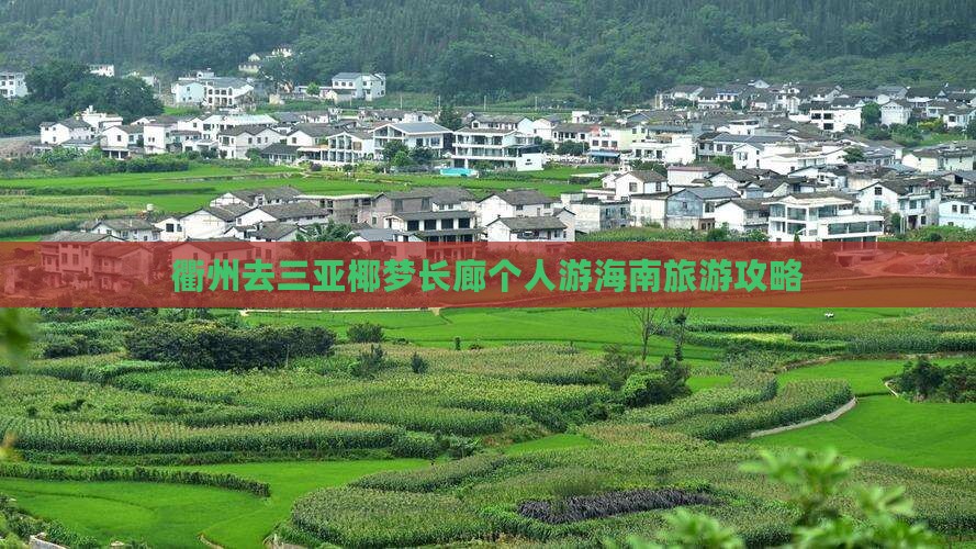 衢州去三亚椰梦长廊个人游海南旅游攻略
