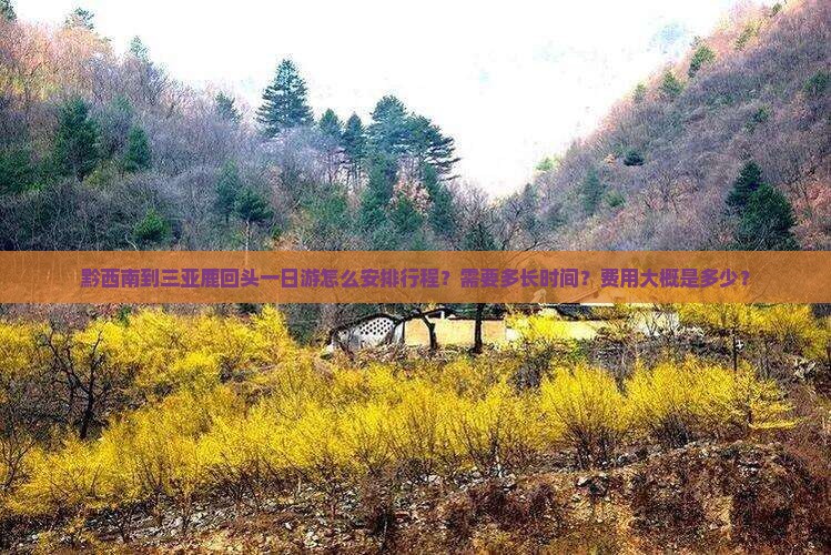黔西南到三亚鹿回头一日游怎么安排行程？需要多长时间？费用大概是多少？