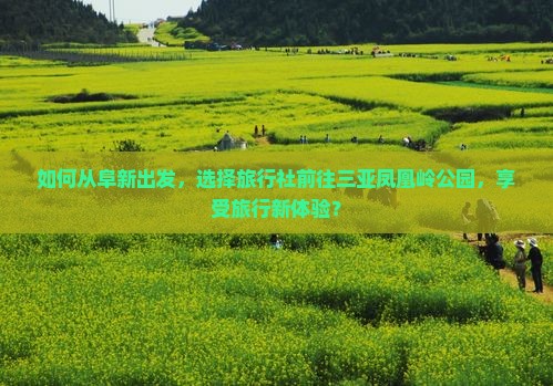 如何从阜新出发，选择旅行社前往三亚凤凰岭公园，享受旅行新体验？