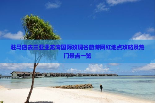 驻马店去三亚亚龙湾国际玫瑰谷旅游网红地点攻略及热门景点一览