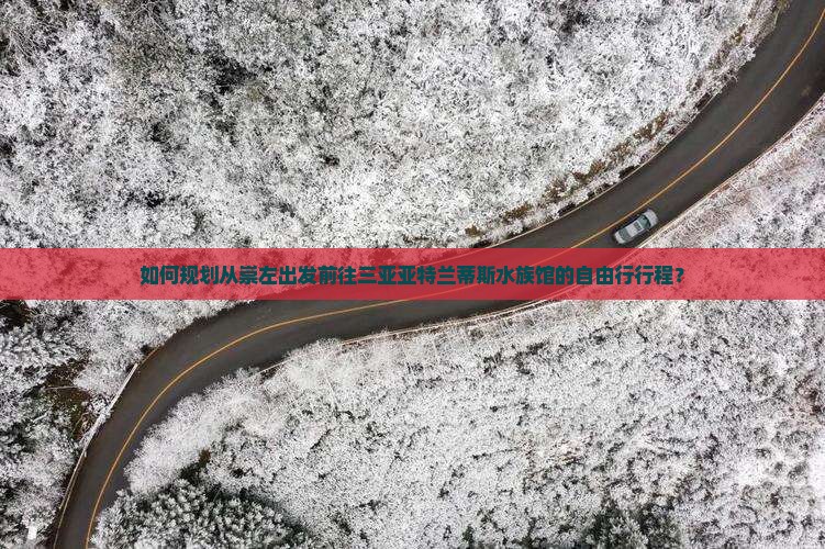 如何规划从崇左出发前往三亚亚特兰蒂斯水族馆的自由行行程？