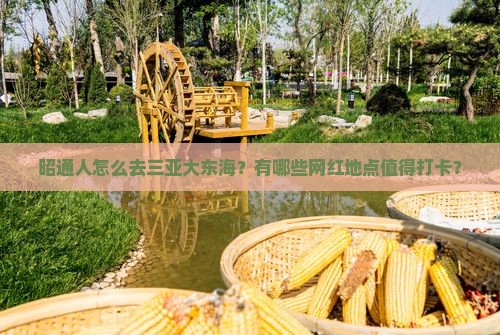 昭通人怎么去三亚大东海？有哪些网红地点值得打卡？