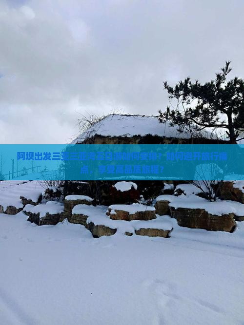 阿坝出发三亚三亚湾五日游如何安排？如何避开旅行痛点，享受高品质旅程？