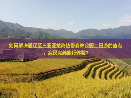 如何解决通辽至三亚亚龙湾热带森林公园二日游的痛点，实现完美旅行体验？