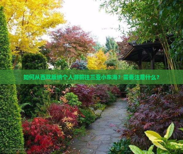 如何从西双版纳个人游前往三亚小东海？需要注意什么？