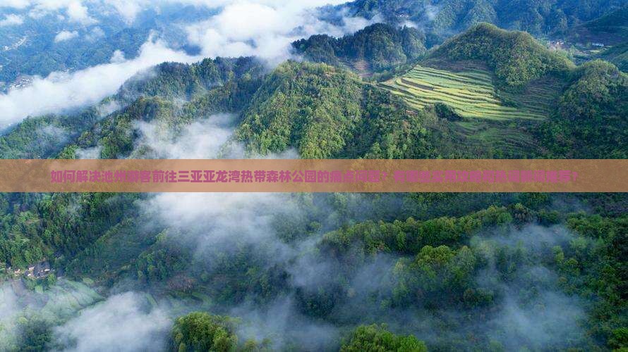 如何解决池州游客前往三亚亚龙湾热带森林公园的痛点问题？有哪些实用攻略和热词新词推荐？