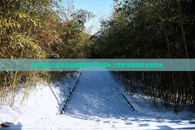 菏泽前往三亚呆呆岛哪里玩海洋乐园水上世界浮潜探索自然风光