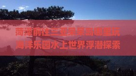 菏泽前往三亚呆呆岛哪里玩海洋乐园水上世界浮潜探索自然风光