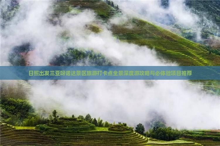 日照出发三亚呀诺达景区旅游打卡点全景深度游攻略与必体验项目推荐