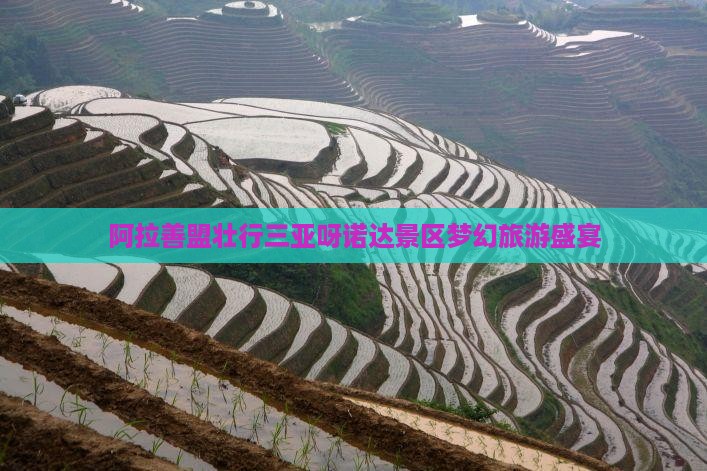 阿拉善盟壮行三亚呀诺达景区梦幻旅游盛宴