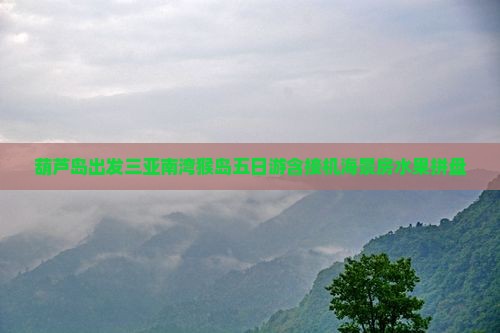 葫芦岛出发三亚南湾猴岛五日游含接机海景房水果拼盘