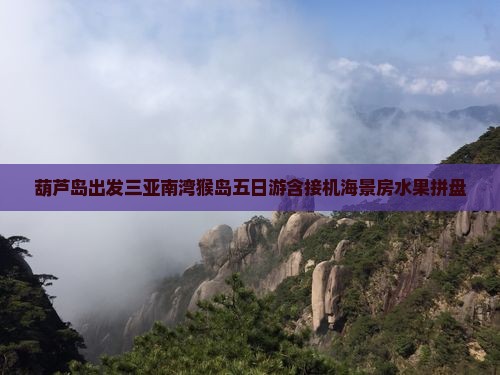 葫芦岛出发三亚南湾猴岛五日游含接机海景房水果拼盘