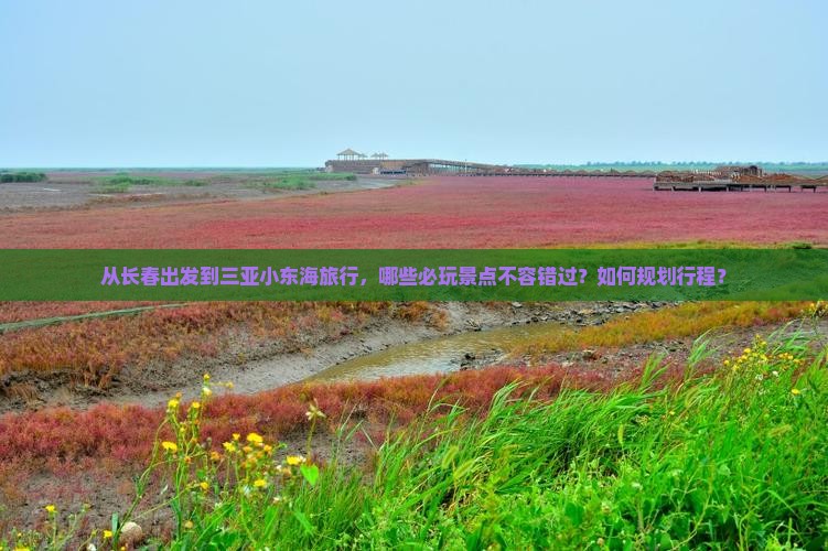 从长春出发到三亚小东海旅行，哪些必玩景点不容错过？如何规划行程？