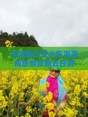 乌海到三亚小东海海南旅游攻略五日游