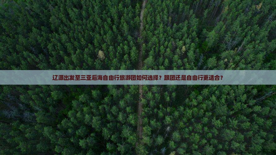 辽源出发至三亚后海自由行旅游团如何选择？跟团还是自由行更适合？