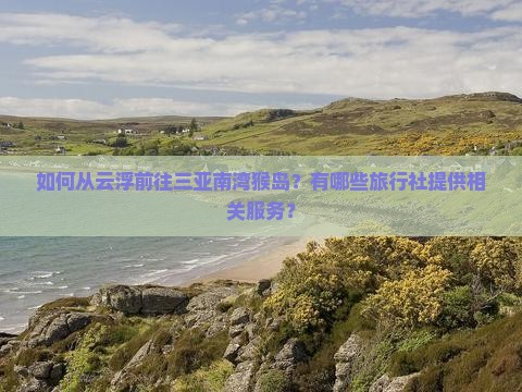 如何从云浮前往三亚南湾猴岛？有哪些旅行社提供相关服务？