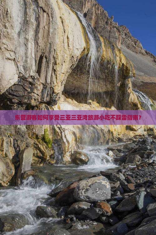 东营游客如何享受三亚三亚湾旅游小吃不踩雷指南？