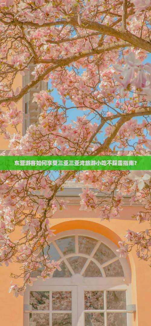 东营游客如何享受三亚三亚湾旅游小吃不踩雷指南？