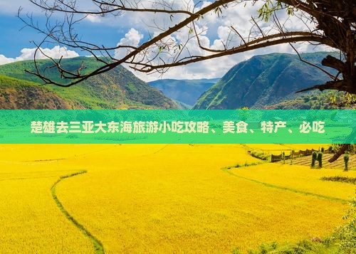 楚雄去三亚大东海旅游小吃攻略、美食、特产、必吃