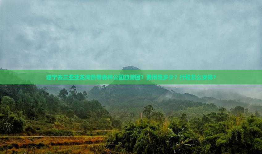 遂宁去三亚亚龙湾热带森林公园旅游团？费用是多少？行程怎么安排？