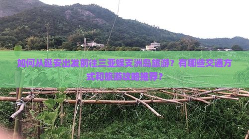 如何从延安出发前往三亚蜈支洲岛旅游？有哪些交通方式和旅游攻略推荐？