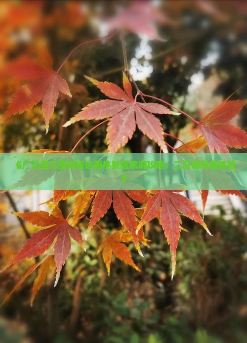 《广元至三亚呀诺达雨林景区旅游攻略：二日游深度体验》