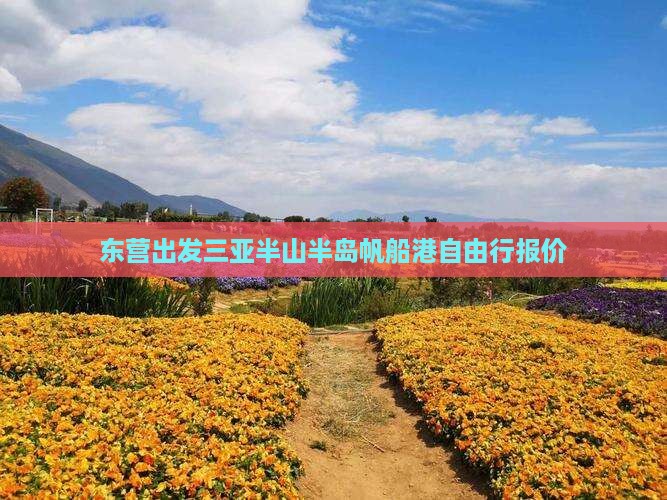 东营出发三亚半山半岛帆船港自由行报价