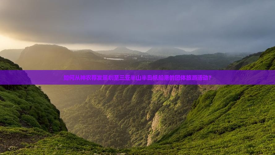 如何从神农荐发策划至三亚半山半岛帆船港的团体旅游活动？