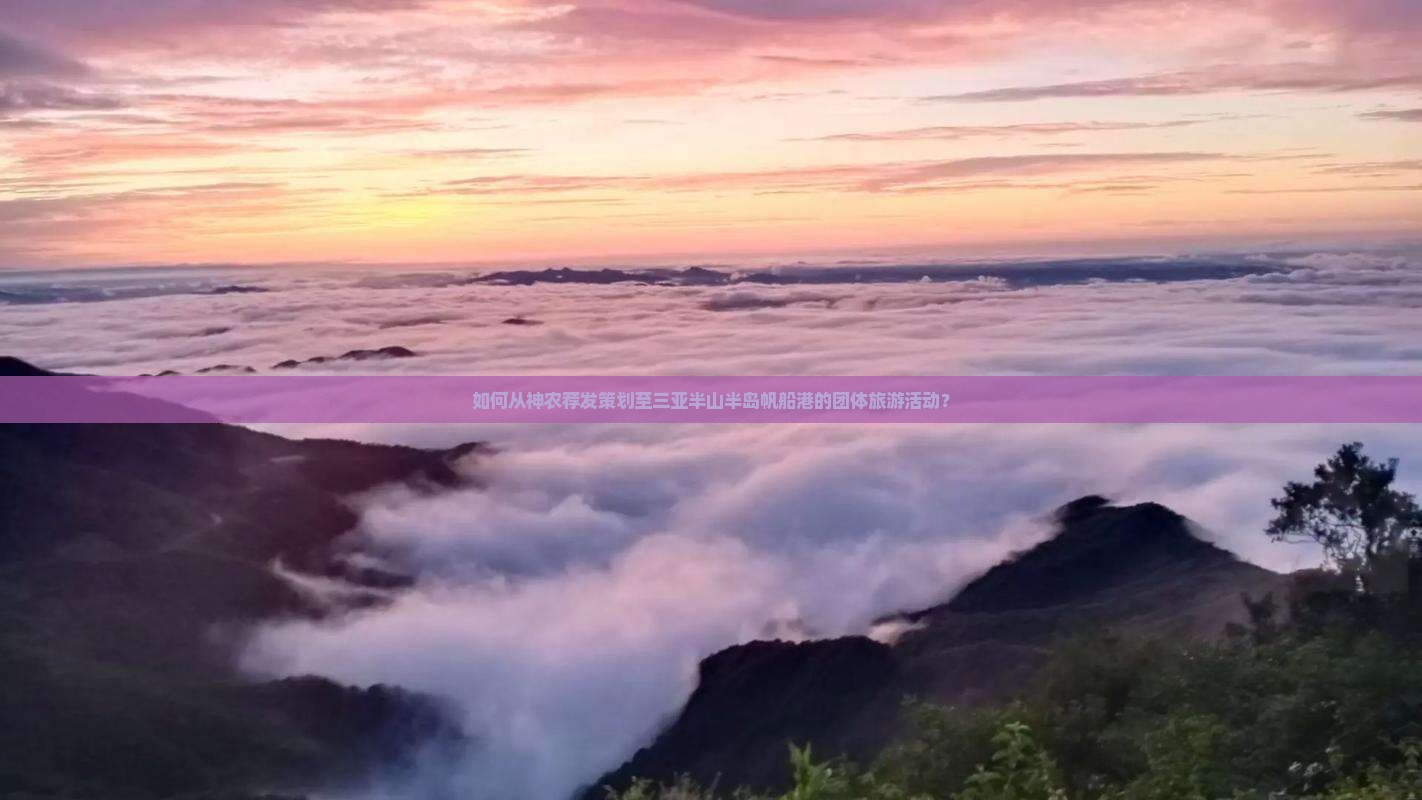 如何从神农荐发策划至三亚半山半岛帆船港的团体旅游活动？