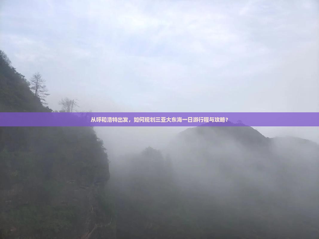 从呼和浩特出发，如何规划三亚大东海一日游行程与攻略？
