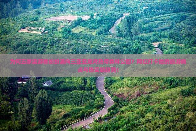 为何五家渠游客纷纷涌向三亚亚龙湾热带森林公园？网红打卡地的旅游痛点与热词新趋势！