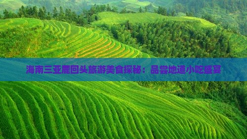 海南三亚鹿回头旅游美食探秘：品尝地道小吃盛宴