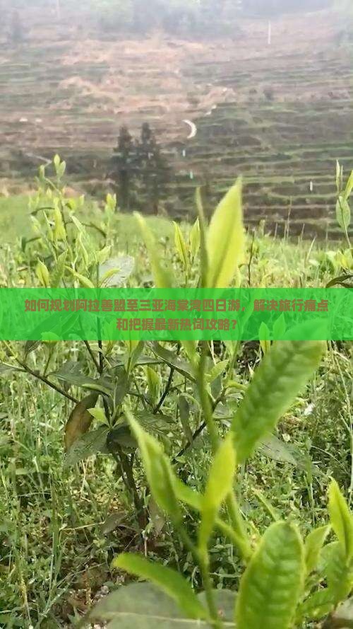 如何规划阿拉善盟至三亚海棠湾四日游，解决旅行痛点和把握最新热词攻略？