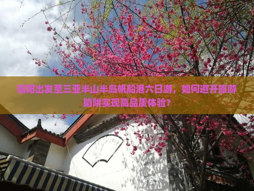 信阳出发至三亚半山半岛帆船港六日游，如何避开旅游陷阱实现高品质体验？