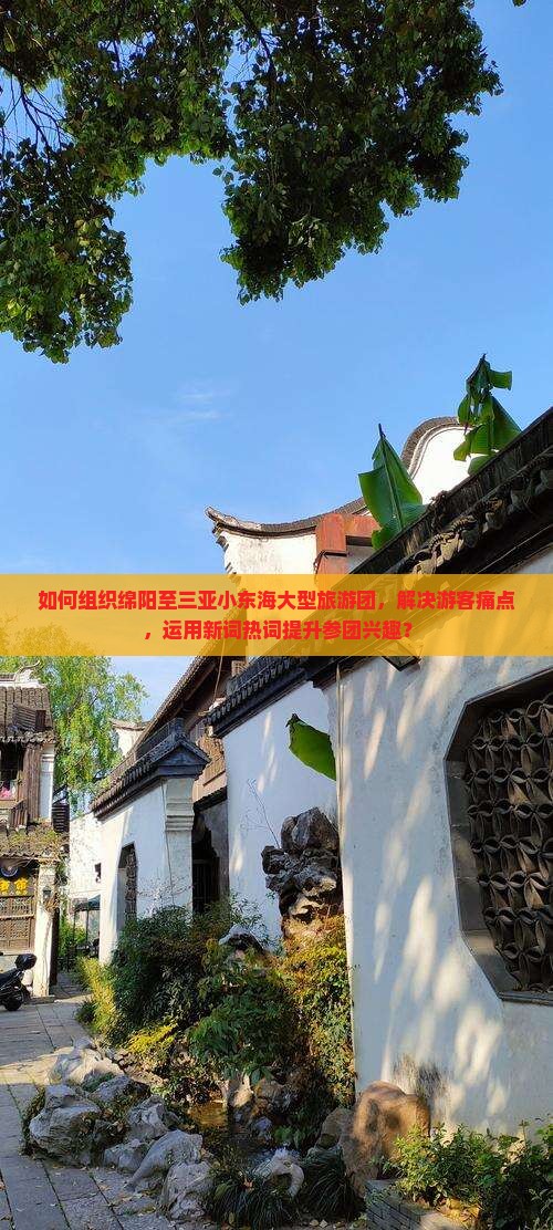 如何组织绵阳至三亚小东海大型旅游团，解决游客痛点，运用新词热词提升参团兴趣？
