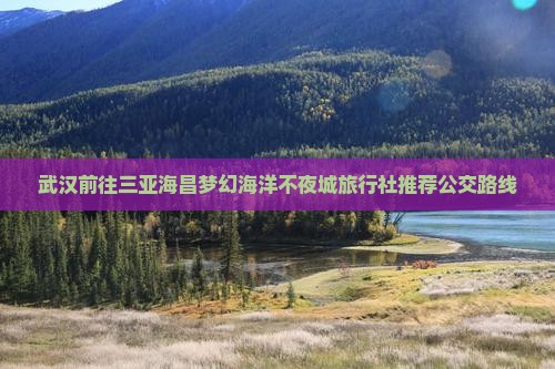 武汉前往三亚海昌梦幻海洋不夜城旅行社推荐公交路线