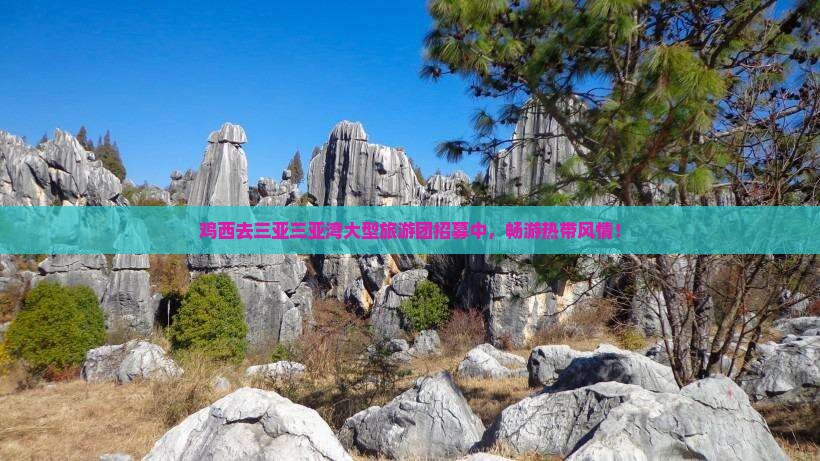 鸡西去三亚三亚湾大型旅游团招募中，畅游热带风情！