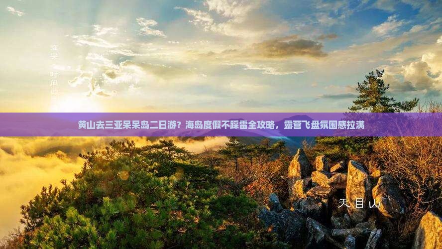 黄山去三亚呆呆岛二日游？海岛度假不踩雷全攻略，露营飞盘氛围感拉满