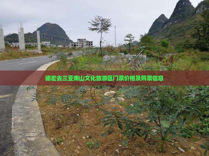 德宏去三亚南山文化旅游区门票价格及购票信息