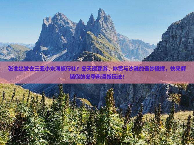 张北出发去三亚小东海旅行社？冬天避寒游、冰雪与沙滩的奇妙碰撞，快来解锁你的冬季热词新玩法！