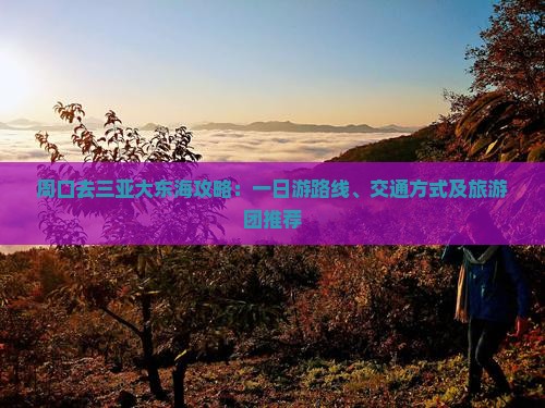 周口去三亚大东海攻略：一日游路线、交通方式及旅游团推荐
