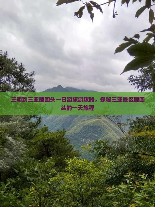 三明到三亚鹿回头一日游旅游攻略，探秘三亚景区鹿回头的一天旅程