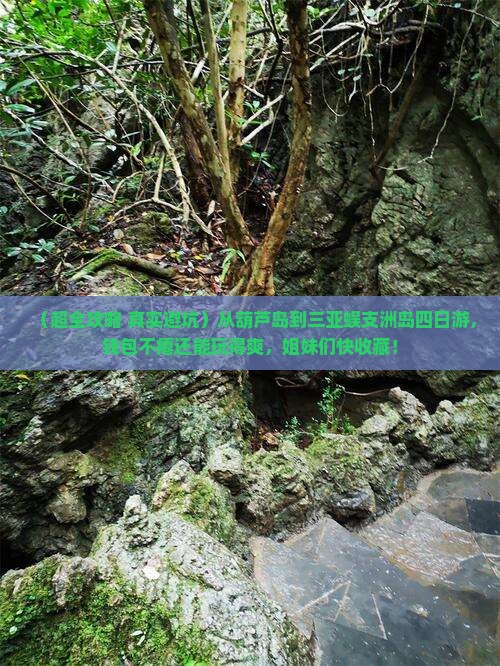 葫芦岛去三亚蜈支洲岛四日游