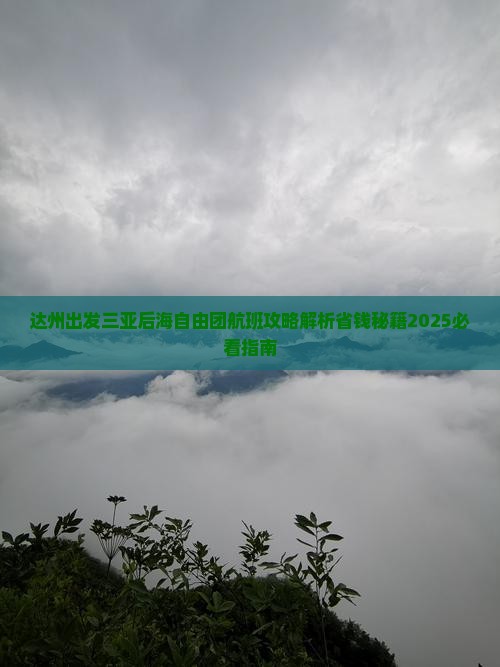 达州出发三亚后海自由团