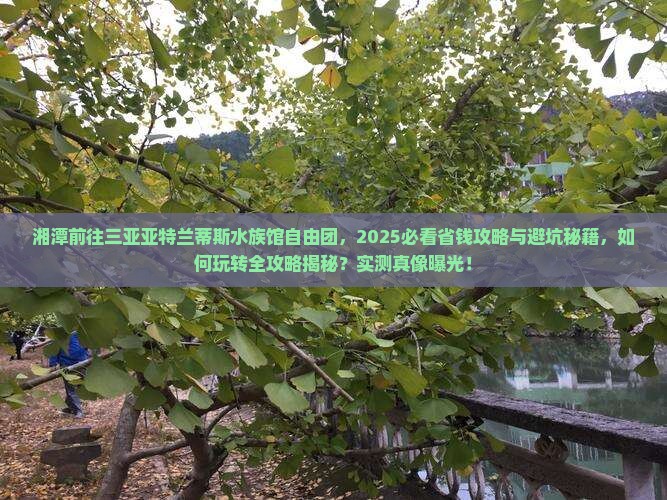 湘潭前往三亚亚特兰蒂斯水族馆自由团