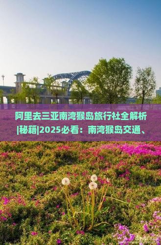 阿里去三亚南湾猴岛旅行社