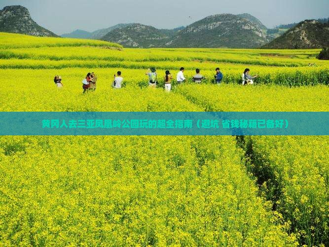 黄冈去三亚凤凰岭公园大型旅游团