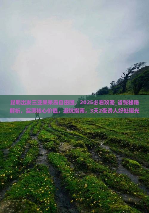 昆明出发三亚呆呆岛自由团