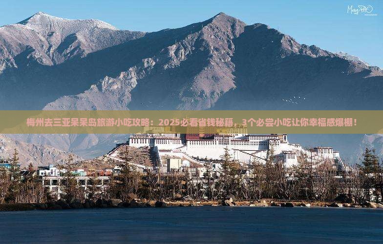 梅州前往三亚呆呆岛旅游小吃