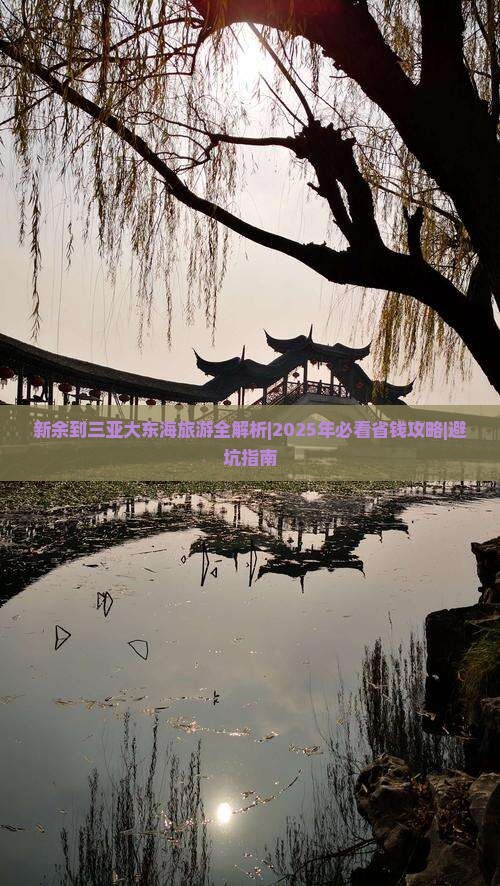 新余去三亚大东海攻略